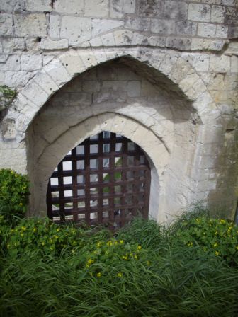 IMGP6093.JPG